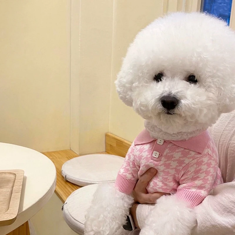 Pet Autumn and Winter Clothes Teddy Knitted Sweater Poodle Flower Clothes Polo Shirt Puppy Warm Two-legged Clothes