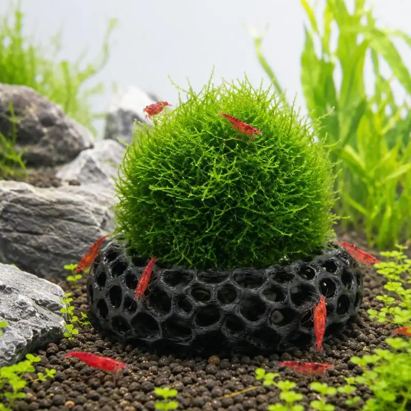 Aquarium Decor Betta Hammock Fish Decor Floating Betta Hide Shrimp Cave Aquarium Hammock, Floating Feeder Resting Spot