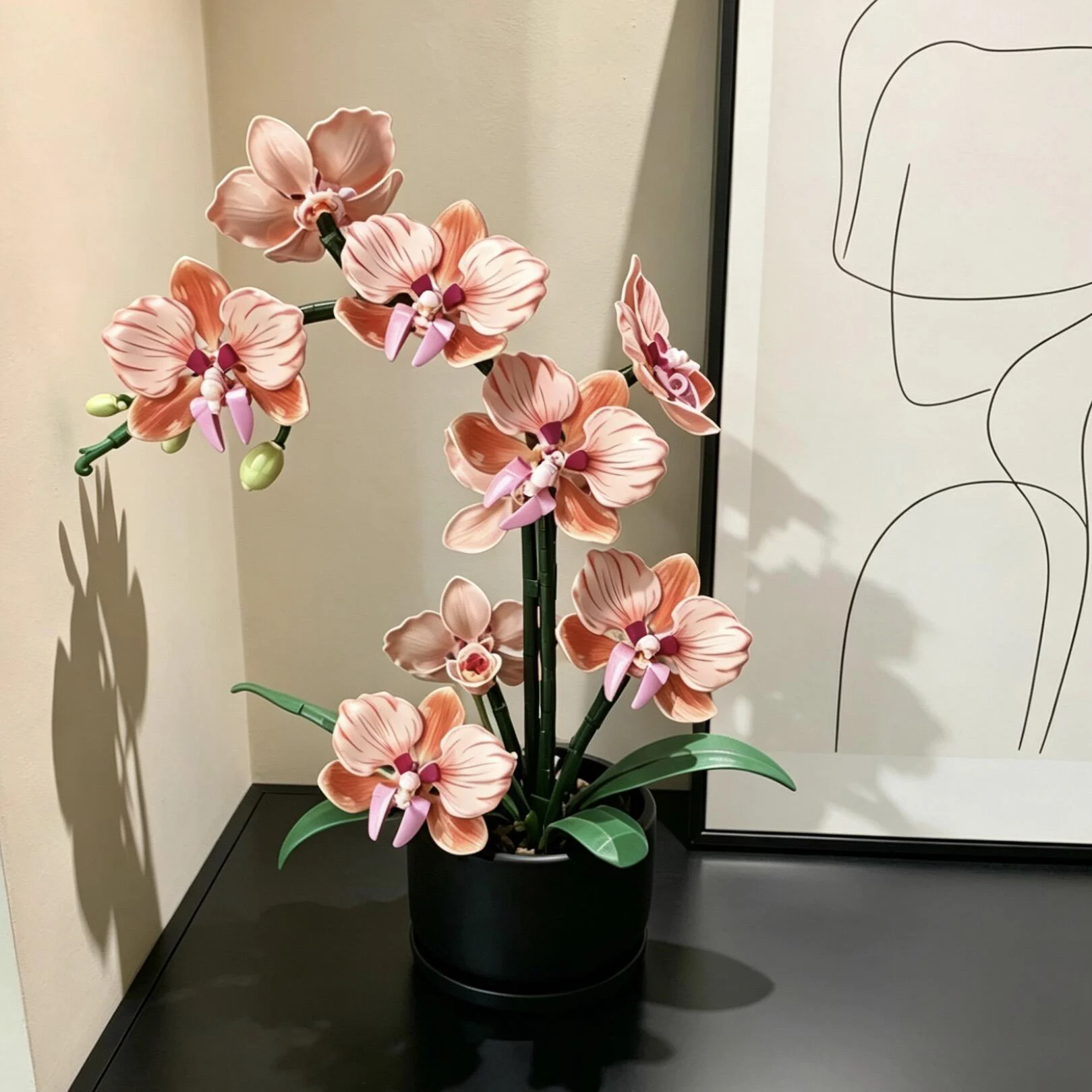 Orange Phalaenopsis Orchid Bui - Orchid Phalaenopsis recension och pris