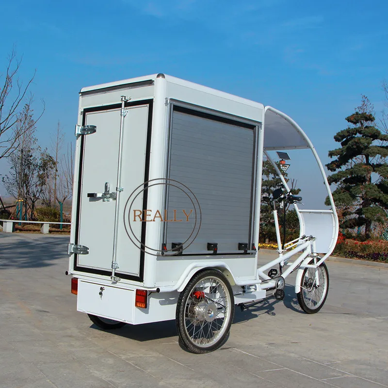 Adult Foods Delivery Bike Goods Express Bicycle Delivery Express Cargo Bike With Keep Warm Function