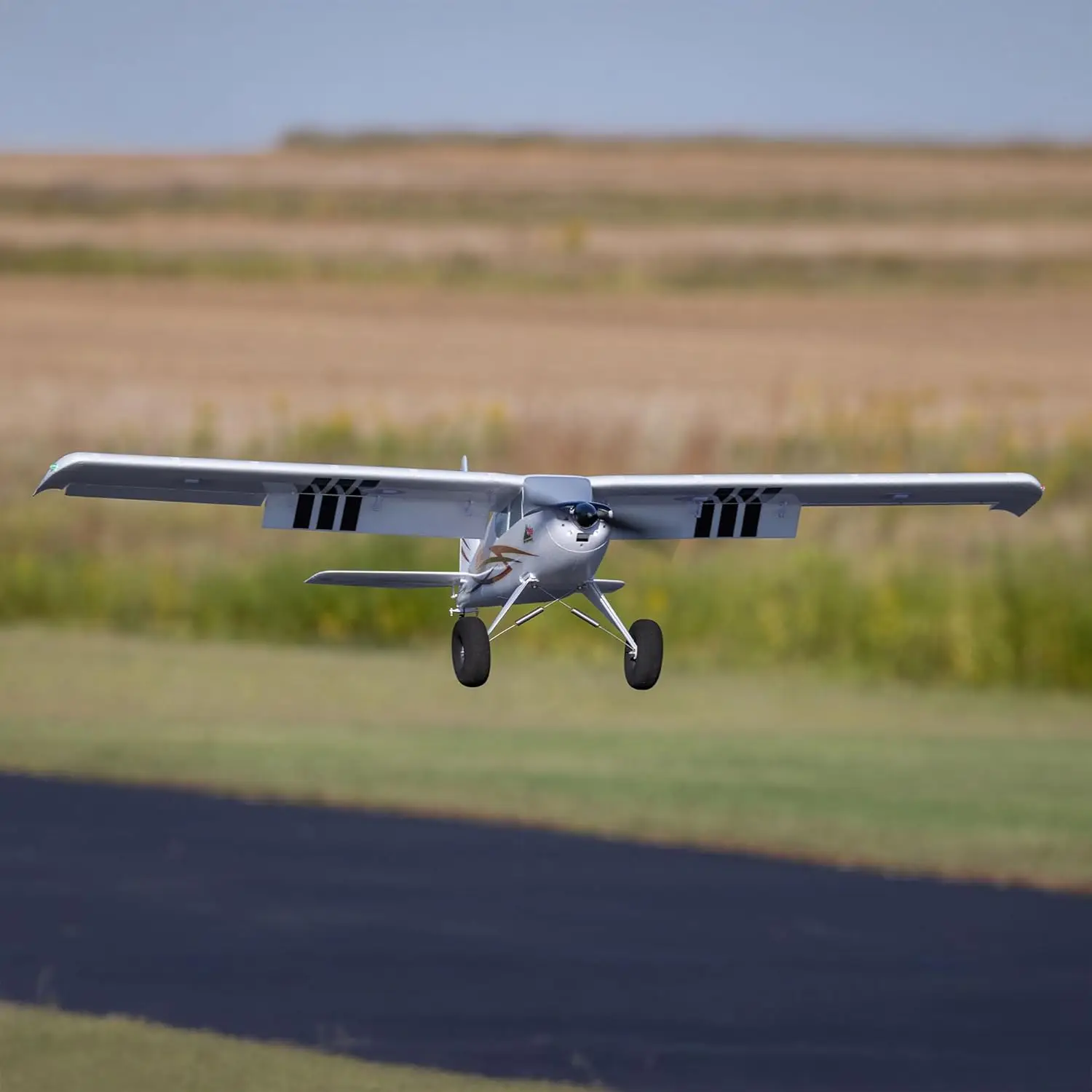 Timber 10-Year Anniversary Edition RC Airplane PNP Model with Receiver Transmitter - Battery And Charger Not Included EFL-3353