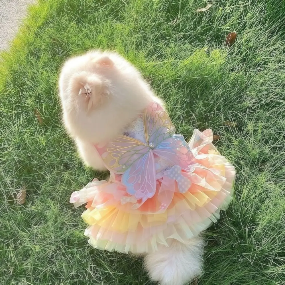 Rainbow Butterfly Tulle Pet Dress 3