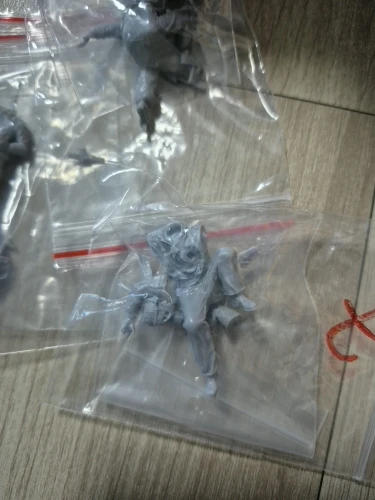 Buyer photo of this resin kit