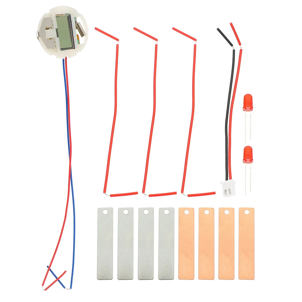 

2 Sets Fruit Experiment Kit Science Education Experiments for Kids Physics Metal Student