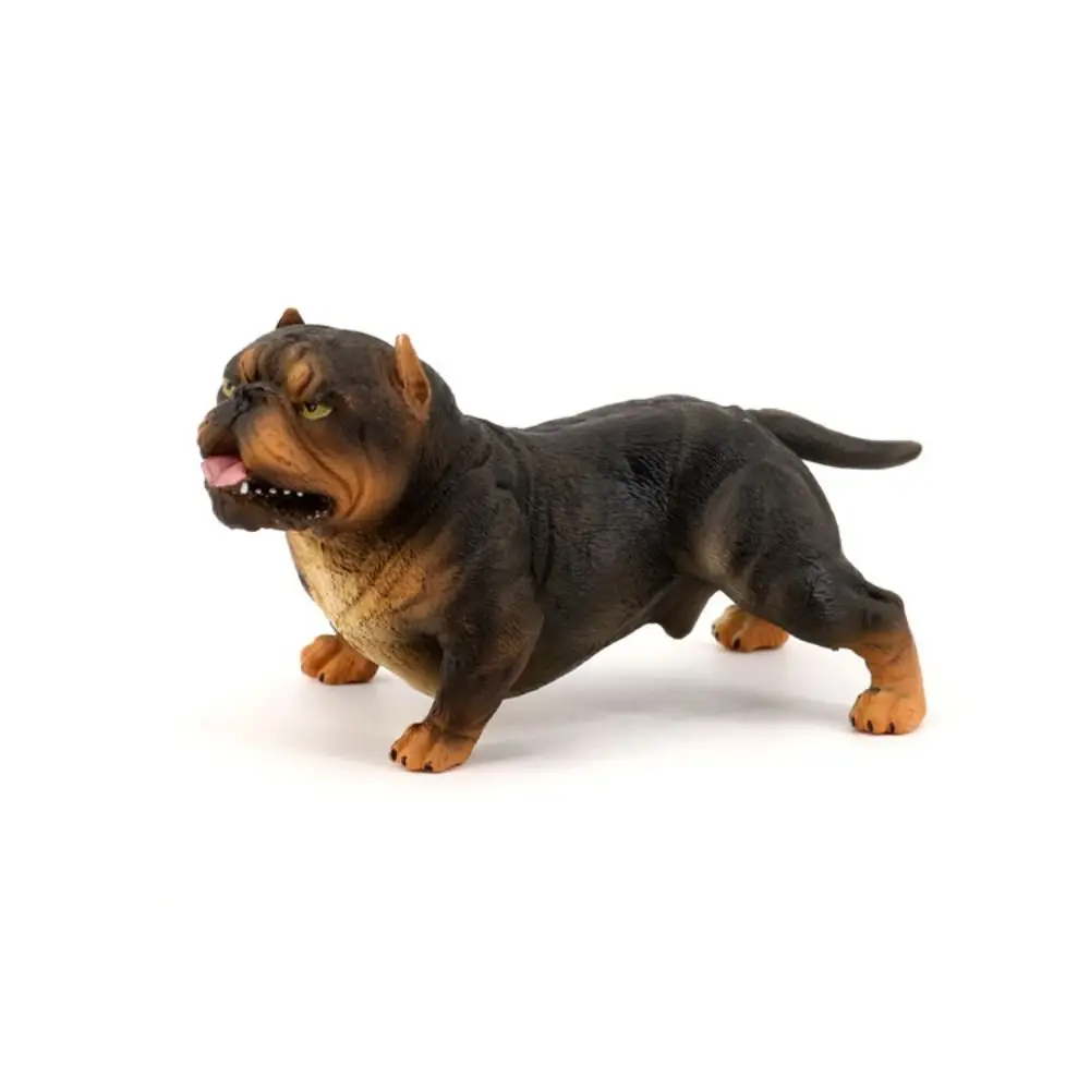 Animal Model Bulldog Model Ornaments Educational Simulation Bulldog Miniature Solid Pitbull Figurine Home Decoration