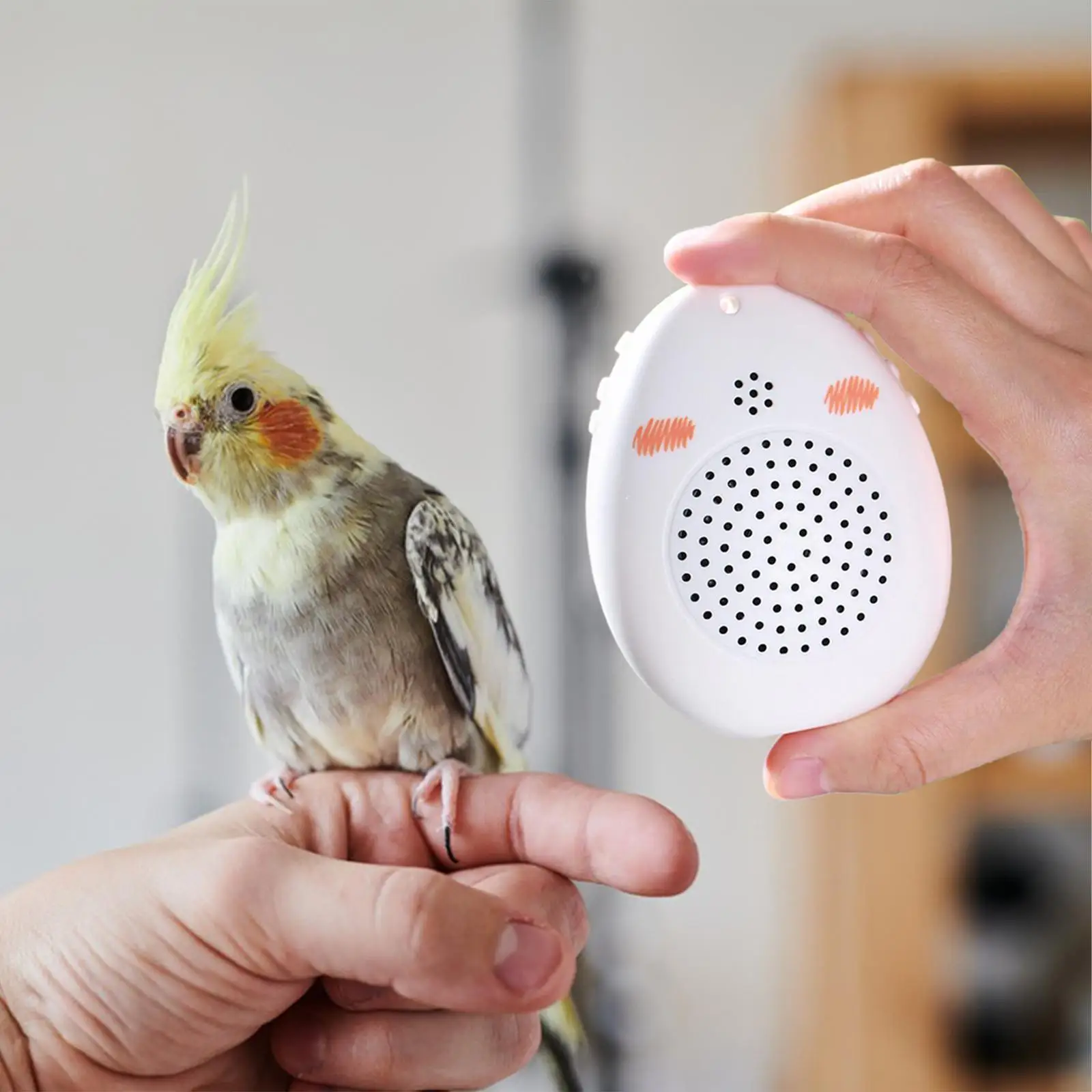 Bird Learning Machine with Recording and Playback Portable Parrot Toy for Training African Grey Cockatiel Macaw