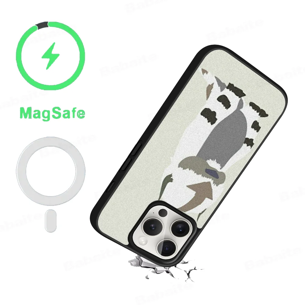 A-Avatar The Last Airbender Phone Case Magnetic Case For iPhone 16 14 13 12 11 15 Pro Max Plus For Magsafe Wireless Charge Cover