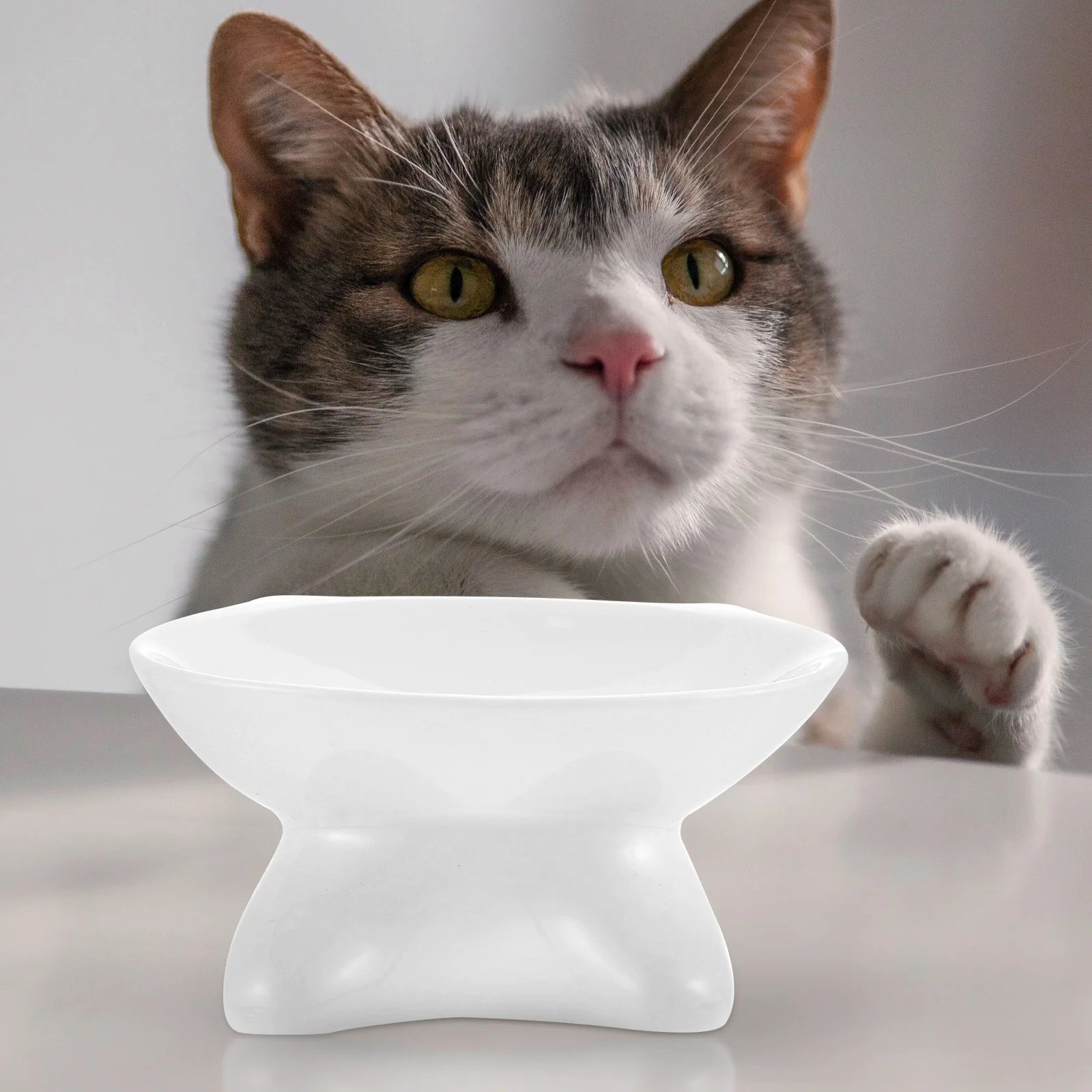 

Cat Face Ceramic Pet Bowl Anti-Skid Nonslip Design Sloping Easy Clean Safe Edges Ideal for Water Food Home Decoration Gift