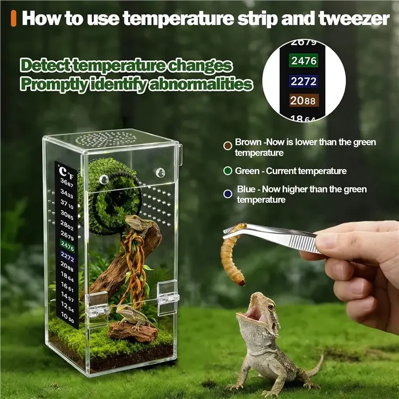 [NEW!A08R】 Easy Assembly For Reptile Terrarium In Acrylic, 360° Clear Design Keeps Pets Secure For Jumping Spiders, Tarantulas,
