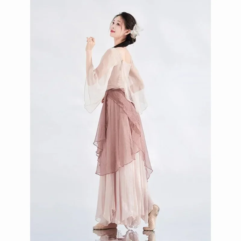 Costumi di performance di danza classica in stile tradizionale cinese Donna Viola senza maniche Top Gonna di garza Abito moderno Hanfu