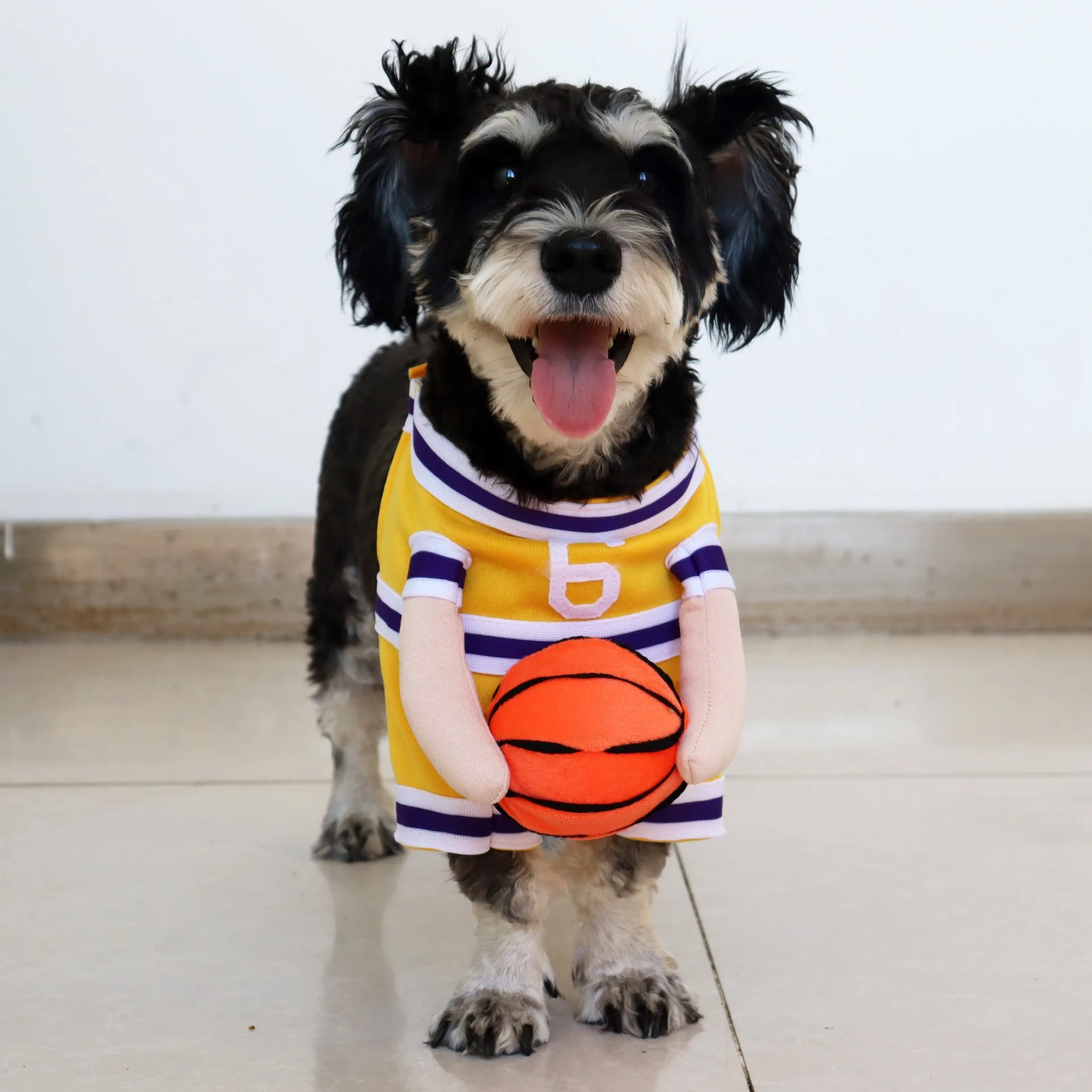 زي تنكري مضحك للقطط على شكل كرة سلة، زي للكلاب، ملابس ثلاثية الأبعاد قائمة بذاتها، سترة رياضية للحيوانات الأليفة للمناسبات ال...