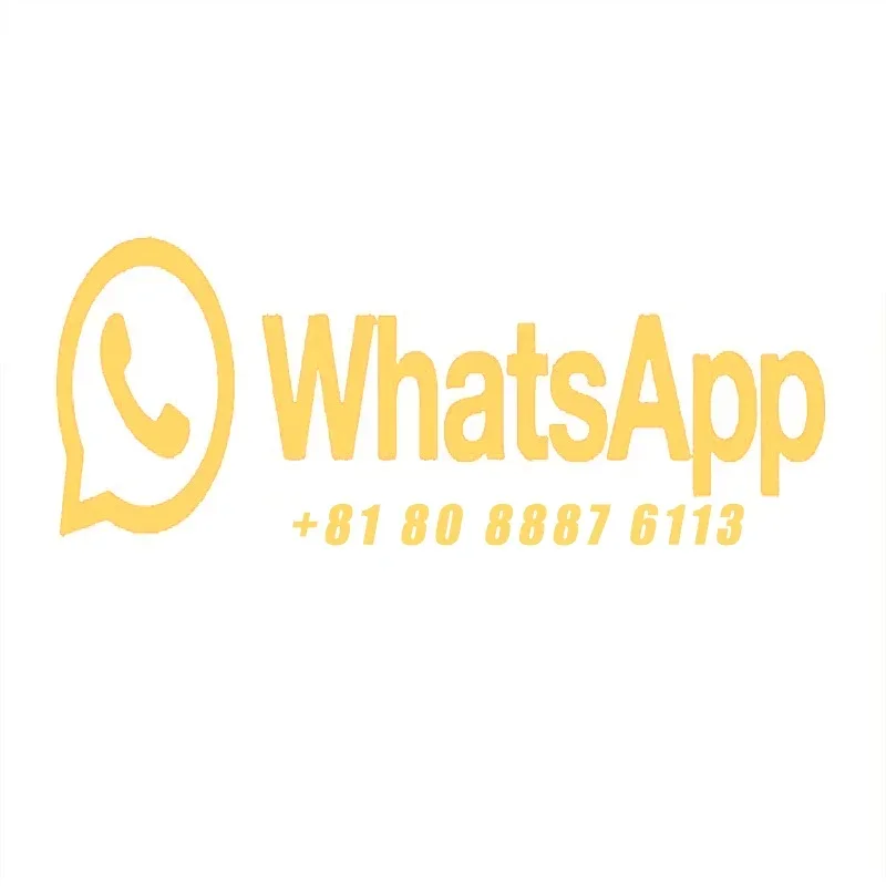 EXPÉDITION RAPIDE SUR Détecteur de métaux GER DETECT TITAN 1000 - Détecteur de métaux professionnel longue portée