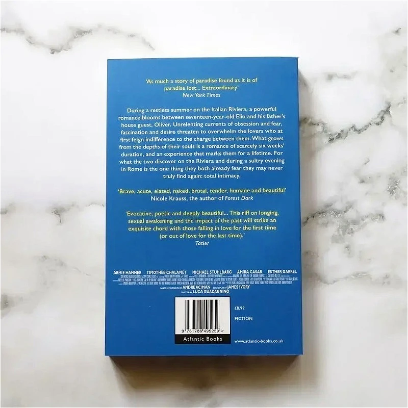 English Original Fiction Book Teen Romance Literary Story Complete Novel Extracurricular Reading Materials for English Learners
