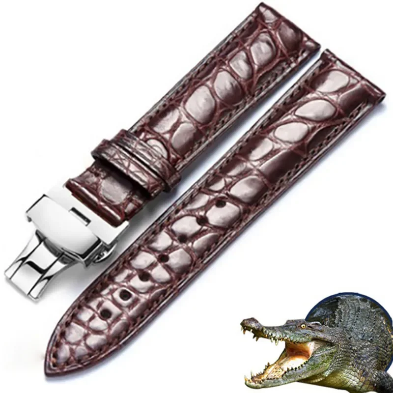 Real Alligator Watch Strap Genuine Leather Watch Bands For Men Or Women Watch Accessories 12 - 24mm