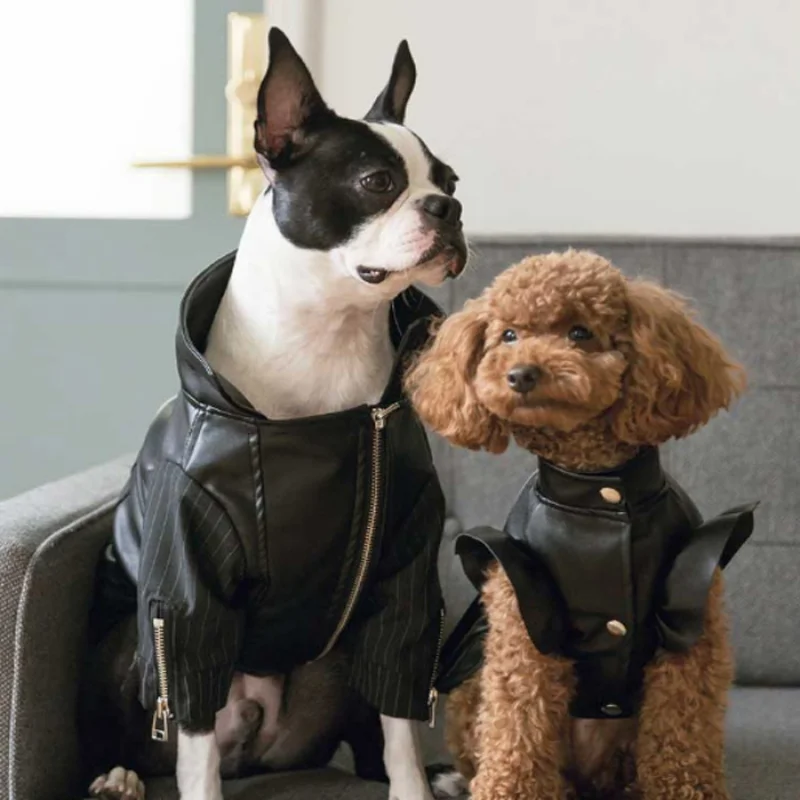 Leather Coat for Pet Lovers, Small and Medium-sized Dog, VIP Bixiong, Pomegi Doll, Spring and Autumn Wear