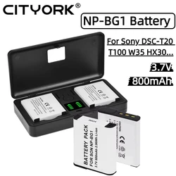 NP-BG1 NP BG1 Battery For Sony DSC-W210 DSC-W100 W50 H50 DSC-H55 DSC-H7 H3 H9 H10 NP-FG1 NP FG1 Lithium Ion Battery With Charger
