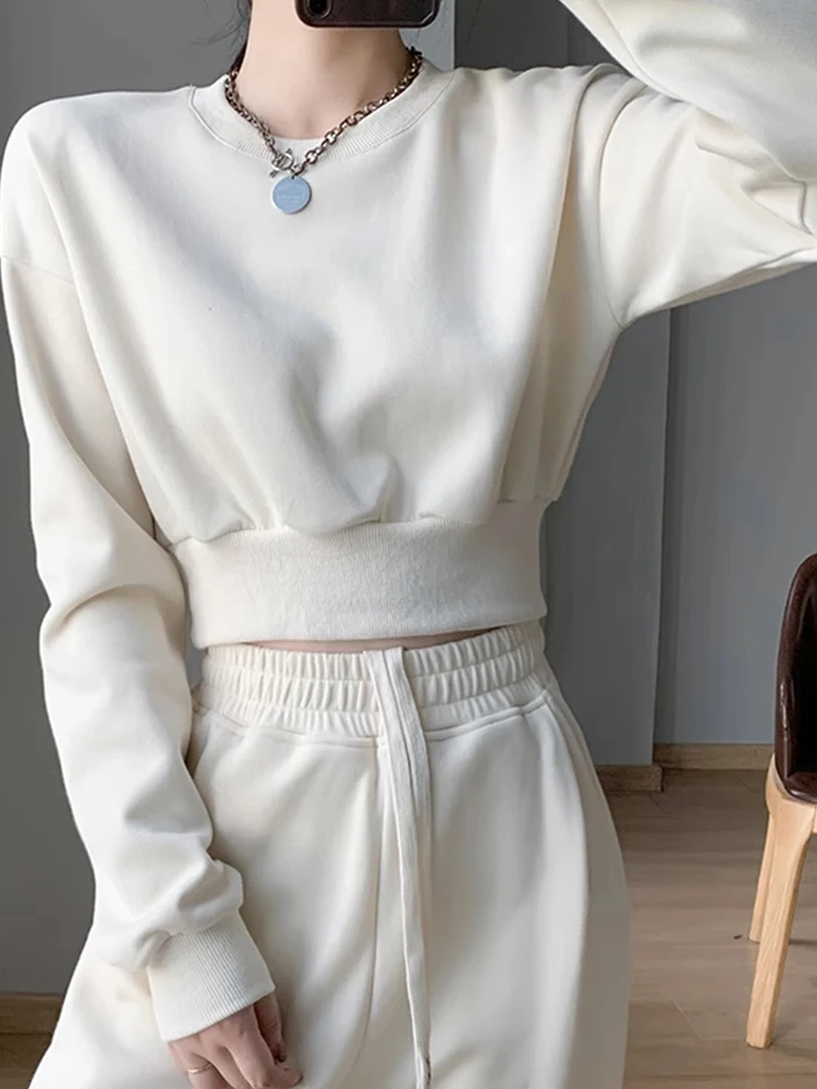 Lockerer langer Rundhals-Sweatshirt für Damen, Frühling/Herbst, neues Design, Bauchfreier Schnitt, koreanische Version, Top-Trend