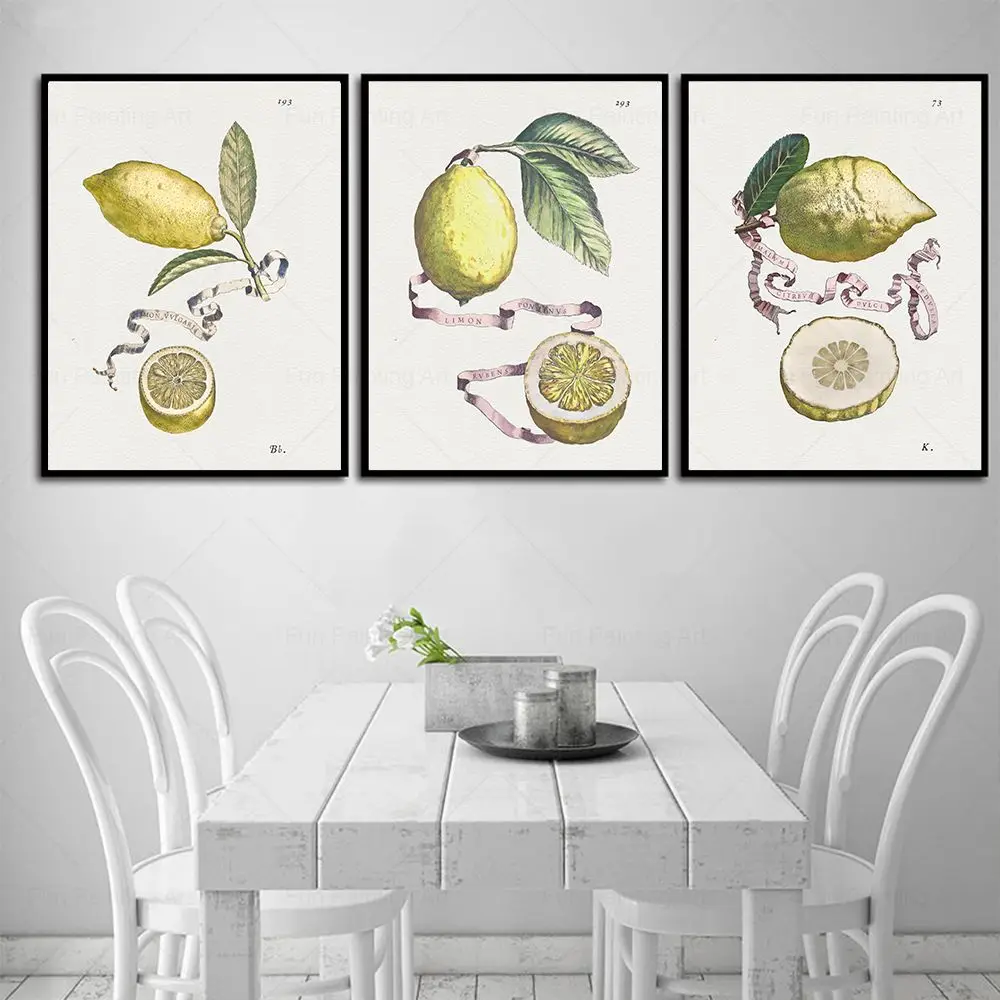 Vintage Citrus Botanical Art Prints Antique Floral Fruits Wall Art Canvas Painting Watercolor Posters for Living Room Home Decor
