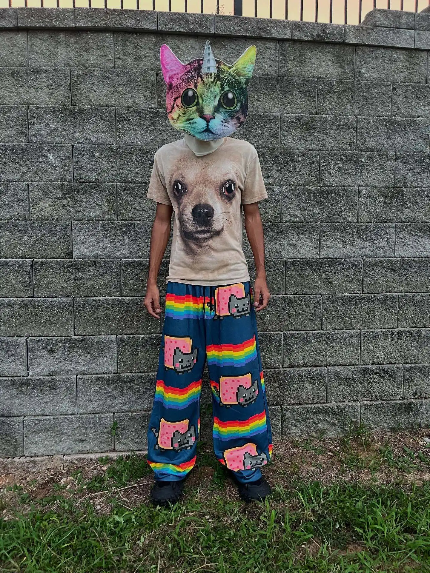 Popular Nyan Cat Sweatpants Y2k Pants Baggy Men Elastic Waist Streetwear Hip Hop Vintage Joggings Casual Pants Men Clothing - view 2