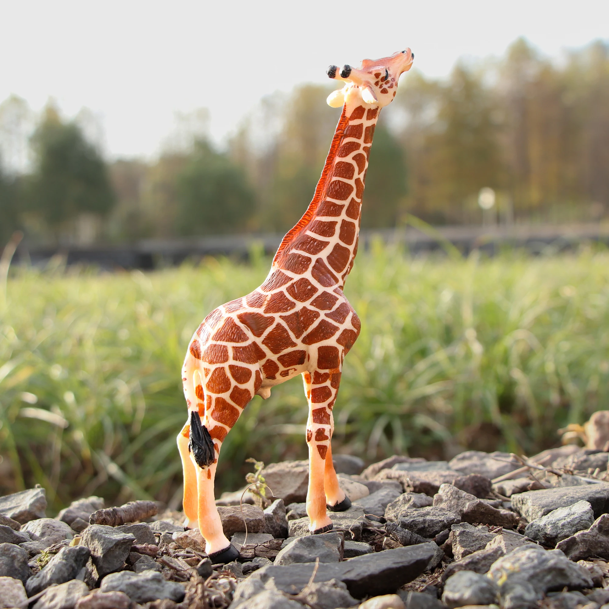 Realistic Wild Animals Toy Action Figure Collection - 3D Model Playset for Kids |Zoo Figurines Children's day gift