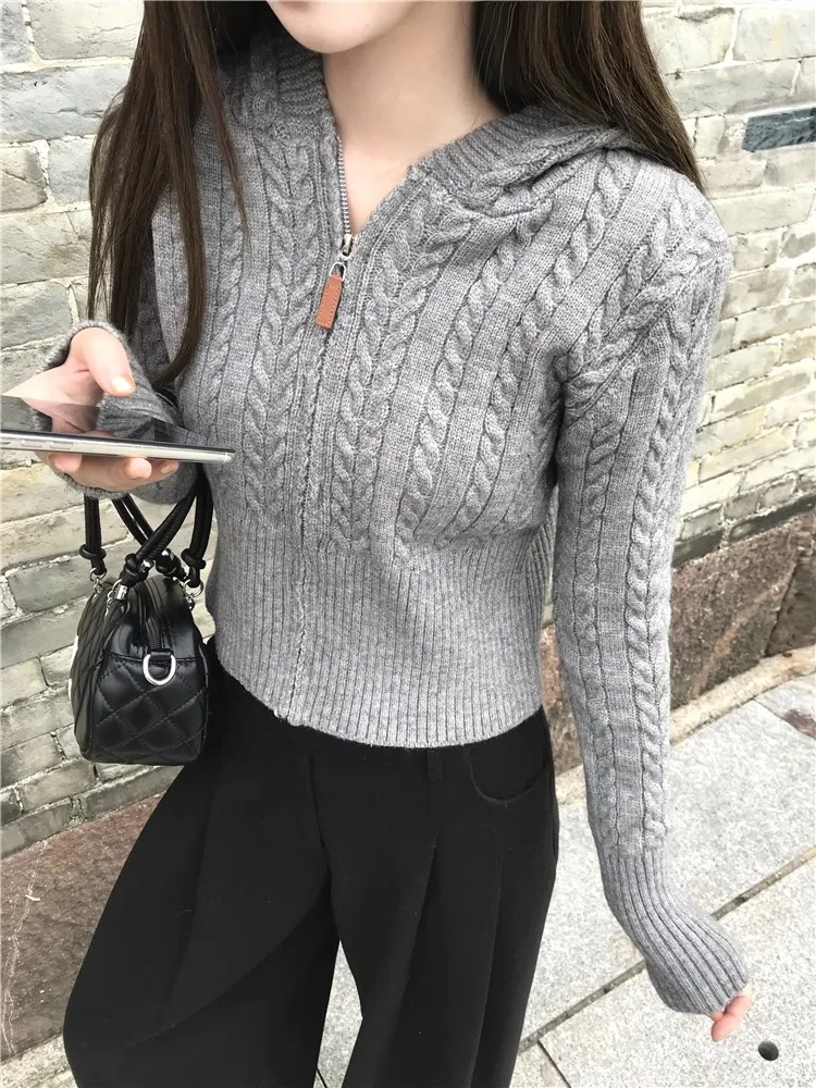 

Korean Fashion Retro Women's 2025 New Solid Long Sleeve Zipper Cardigan Sweater Autumn Winter Vacation Hooded Knitted Short Tops