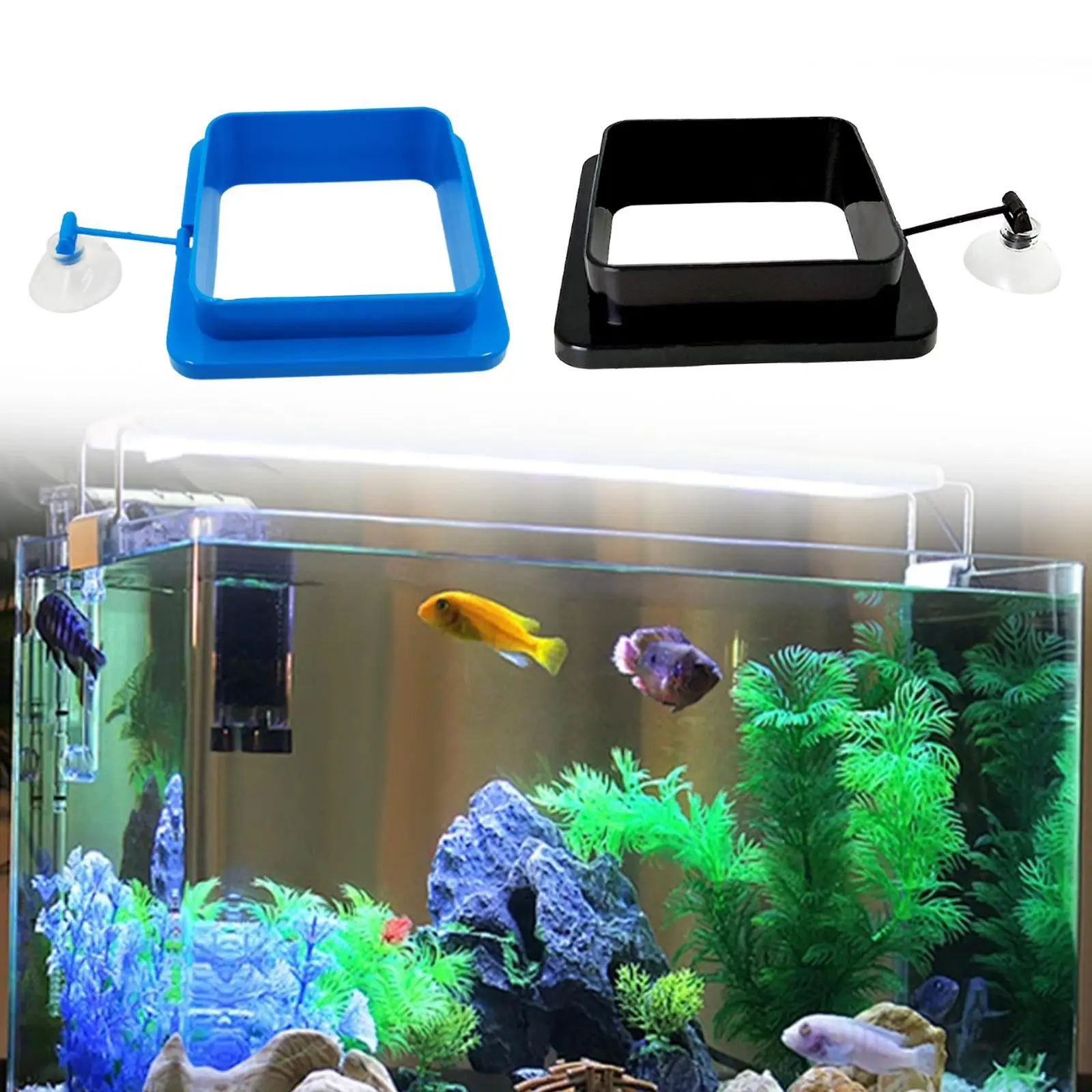 Floating Fish Food Feeder Circle Fish Feeding Circle Stable Acrylic Aquarium Flakes Pellets Home Use Turtle Fish Feeding Ring