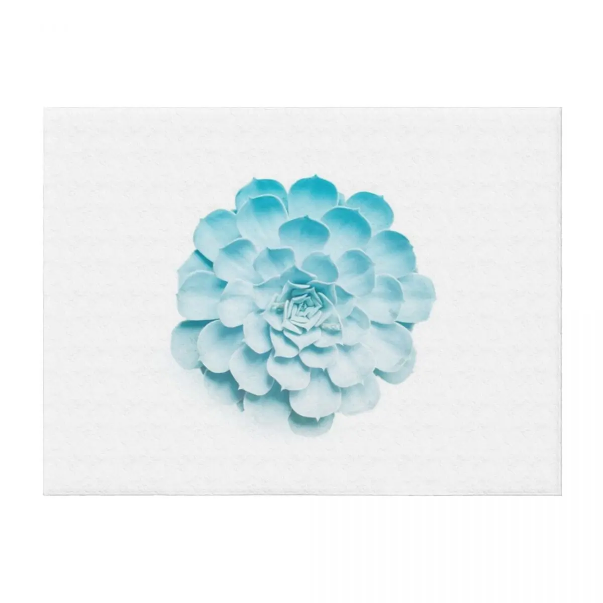 

Succulent Botanical - Blue Throw Blanket blankets ands warm winter Soft Big Flannels Blankets