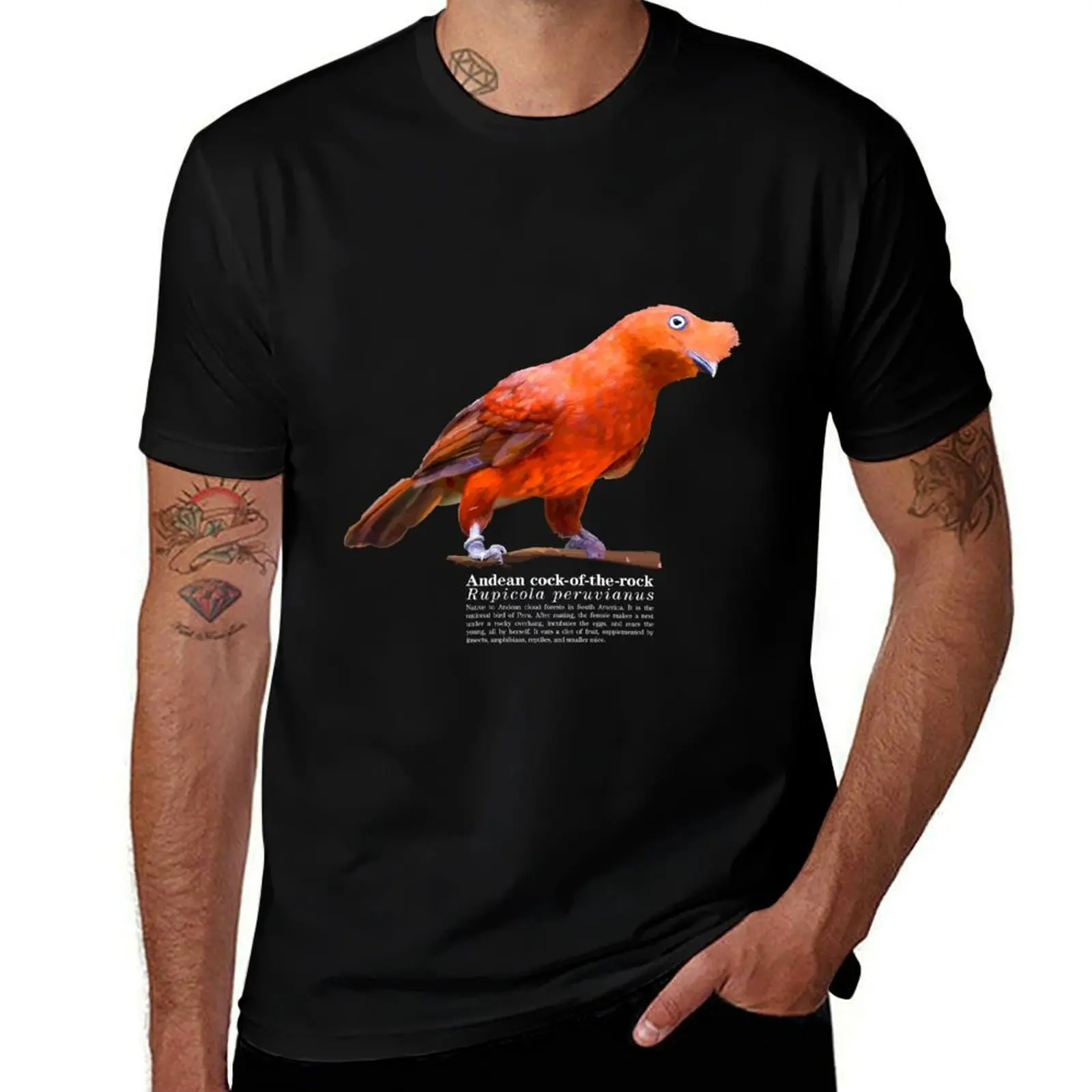 

Andean cock-of-the-rock bird on the rocks T-Shirt Quick Dry Fishing T-Shirt