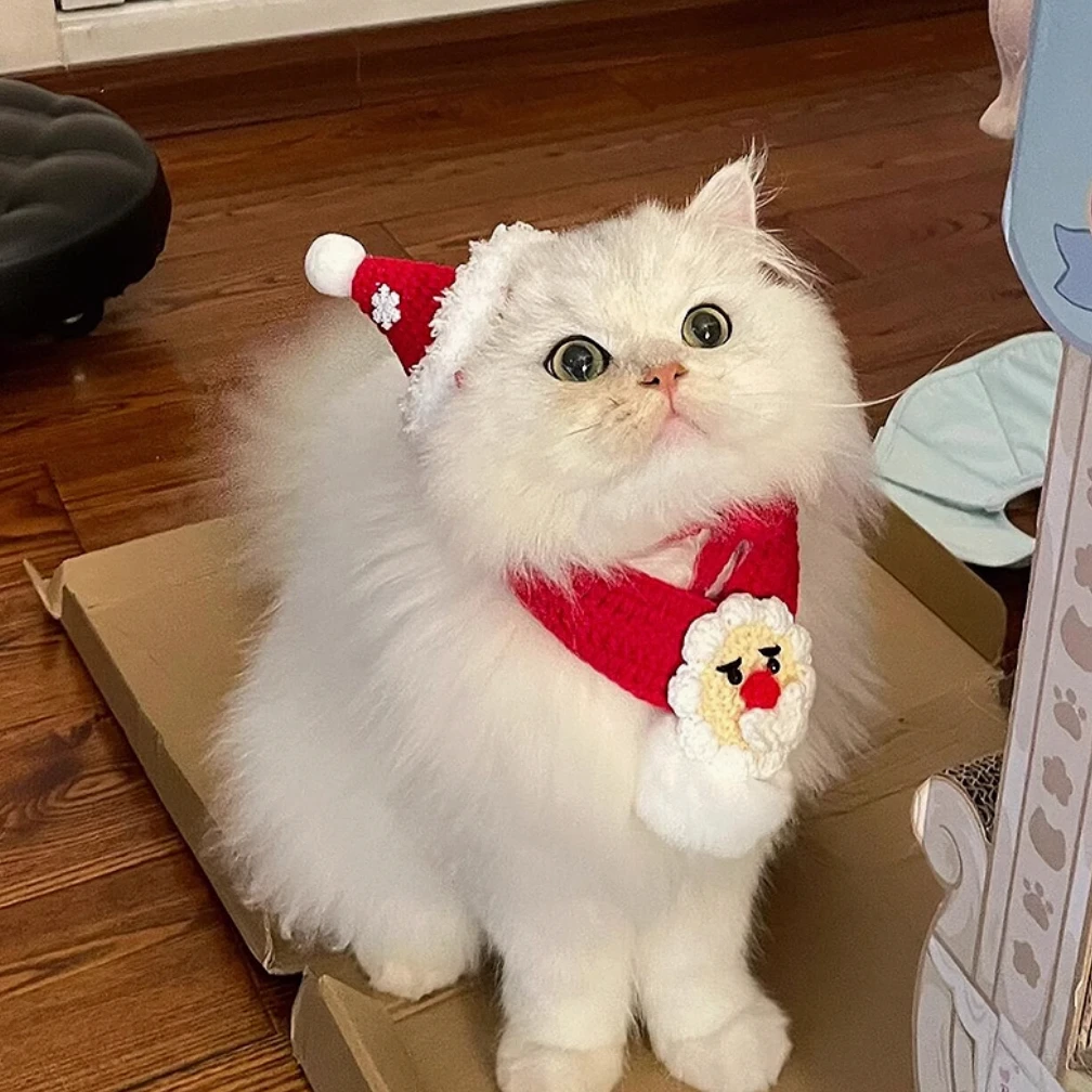 Christmas Cat Costume Small Dog Santa Hat with Scarf Kitty Outfit Apparel Pet Santa Claus Set for Kitten Pet Christmas Gift