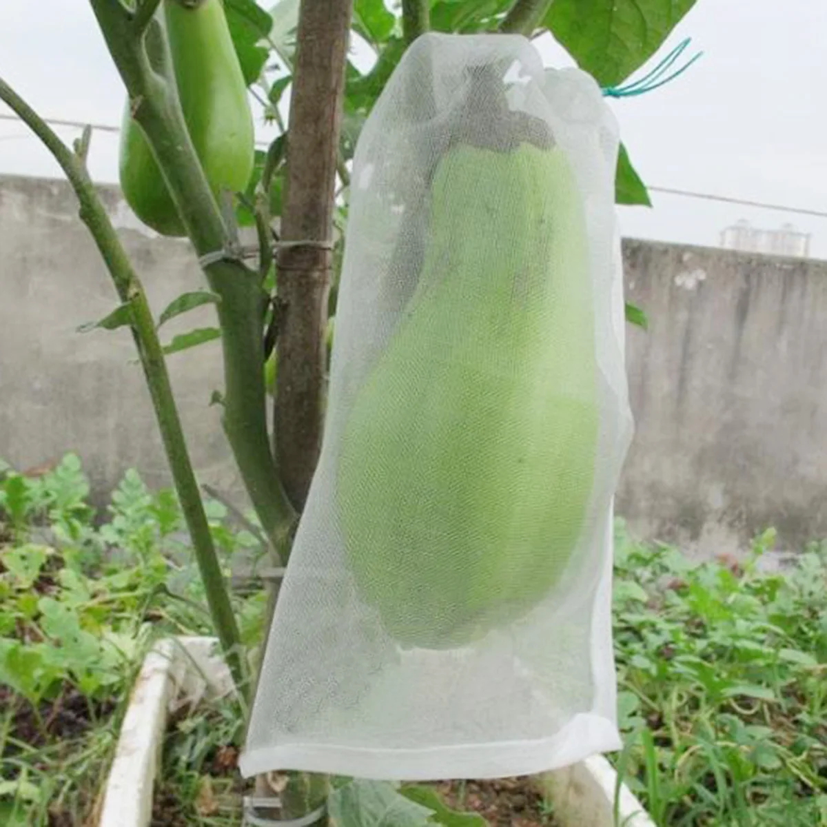 

25 Pcs Insect Net Bag Garden Plant Flower Fruit Protect Mesh Double Drawstring Dragon Agricultural Rice Soaking