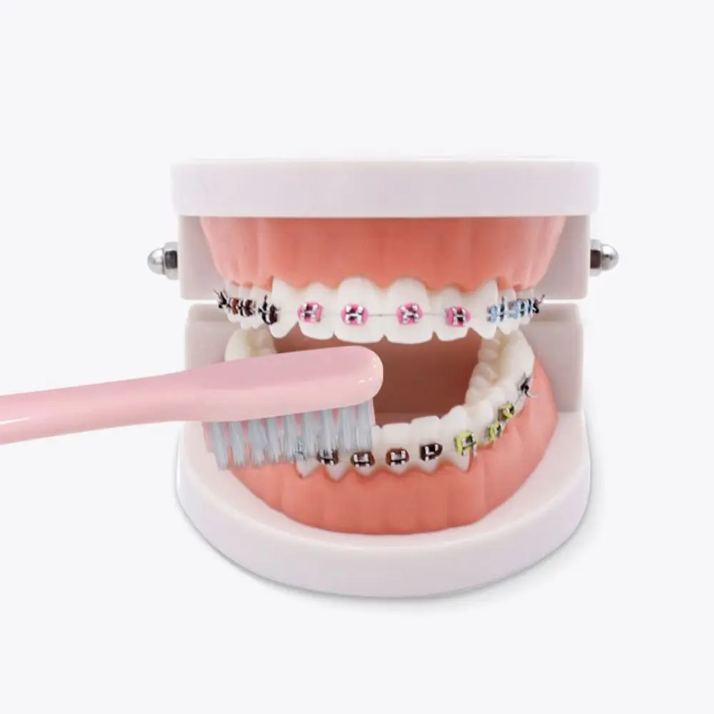 Tooth Cleaning Inter-Dental Oral Health Cleaner Dental Tooth Brush Teeth Brace Brush Orthodontic Toothbrush U-Shaped Toothbrush