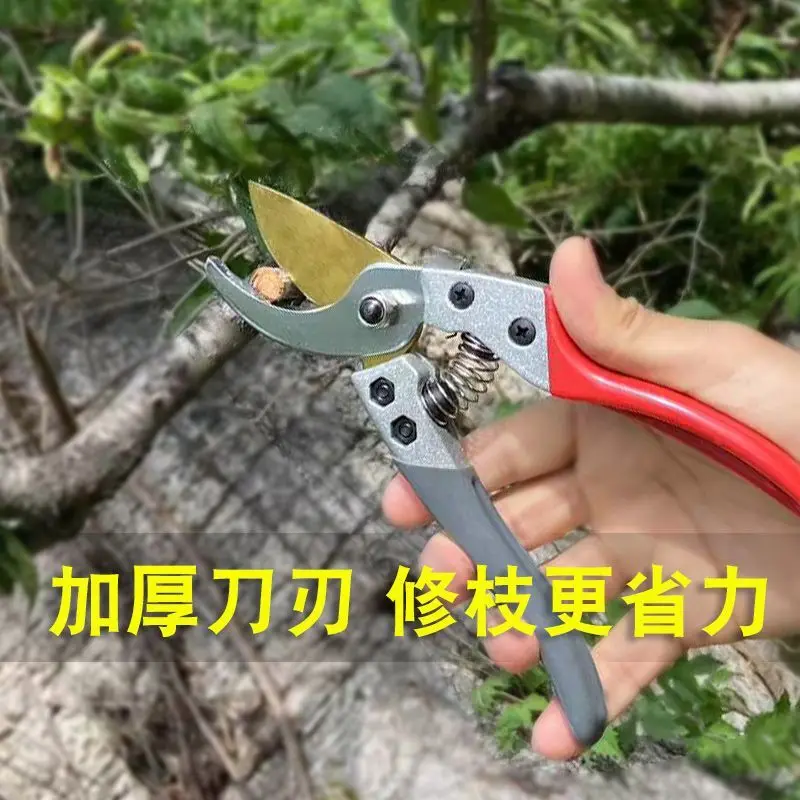 Tijeras para Árboles Frutales Alice Miyamoto 130DX, Tijeras de Podar 120DX VS-8, Tijeras Importadas para Ramas Gruesas