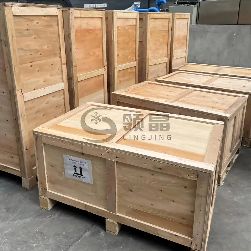 1200W Stainless Steel No Need Cutting Auto Feeding Big Mouth Inlet Cold Press Slow Juicer Machine for Commercial