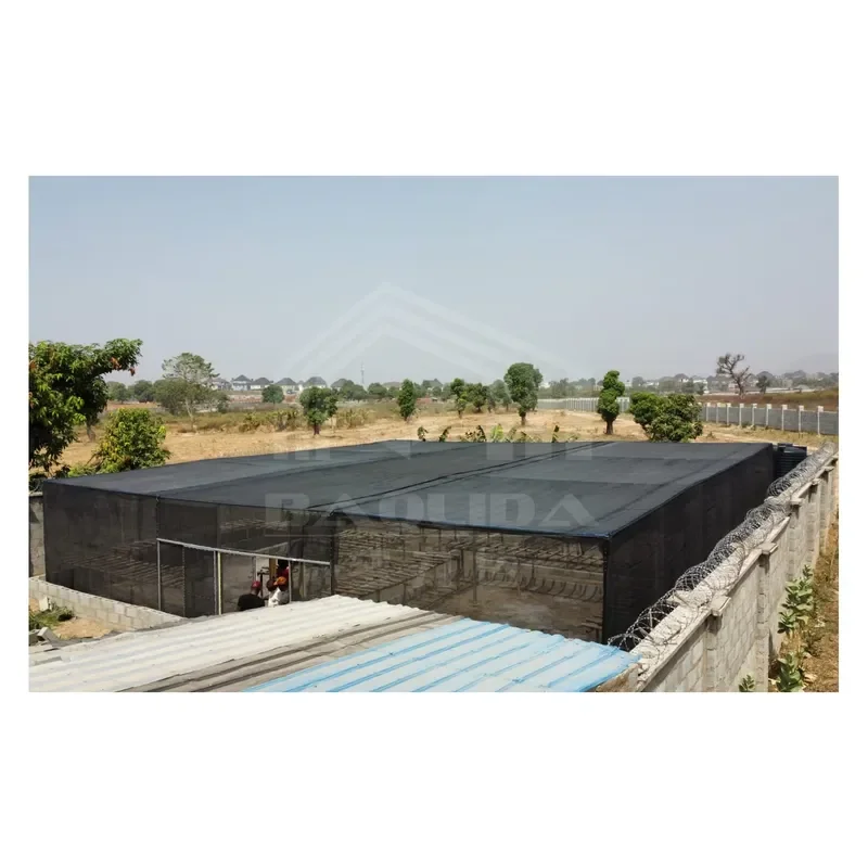 Plastico Para Invernadero Africa Cheap Shade Net Rectangle Green House Metal Frame Greenhouse for Agriculture