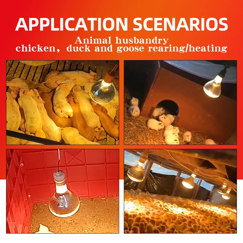 100W/150W/200W/250W/275W Poultry Infrared Heat Lamp Waterproof Anti-Explosion Thickened Light Bulbs ​For Piglet Chicken Duck