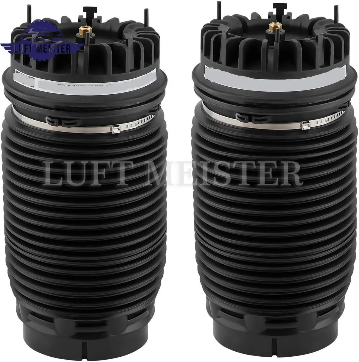 2 قطعة زنبرك تعليق هوائي خلفي لدودج رام 1500 2013-2018 منفاخ الهواء 68248948 أأ 04877136 أأ 04877136 AB #2