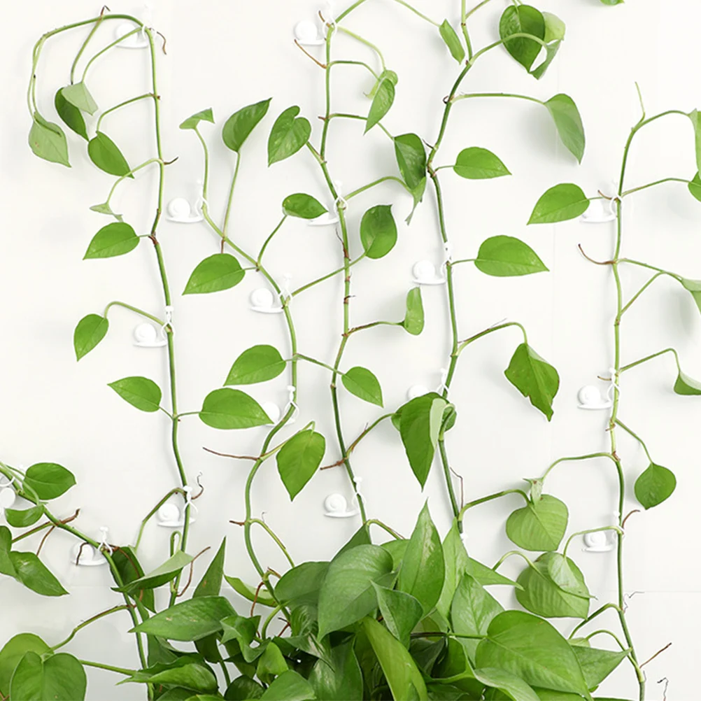 

10 Pcs Plant Fixing Clips Wall Vines Holder Wire Hook Transparent Plastic Indoor Garden Fixture Part Decor Home Use