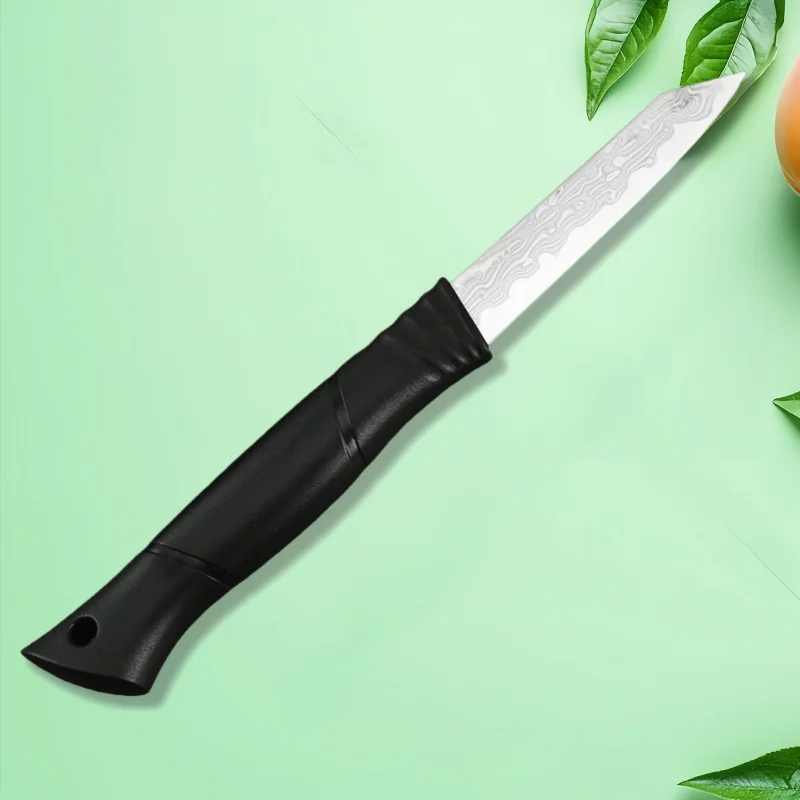 Paring Knife 67 Layer Damascus Steel VG10 Steel Core Sharp Utility Vegetable Peeling Fruit Knife Household Tool Canivetes