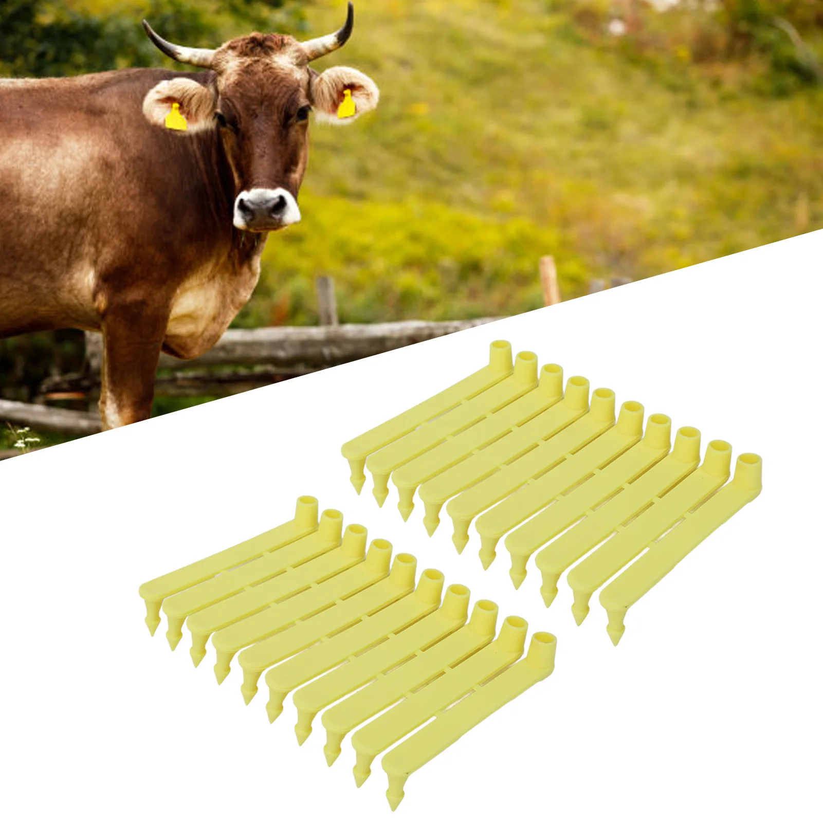 Livestock Ear Tag, Easy Identification, Animal Ear Tags, Label, Prevent Shedding for Animal Management, 100 Pcs