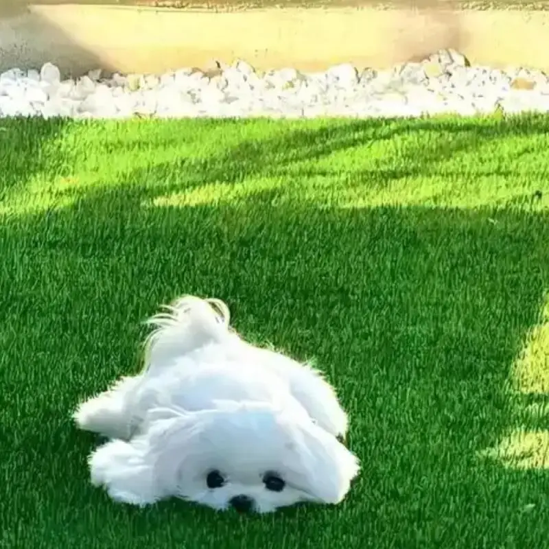 3D Printed Hard Car…