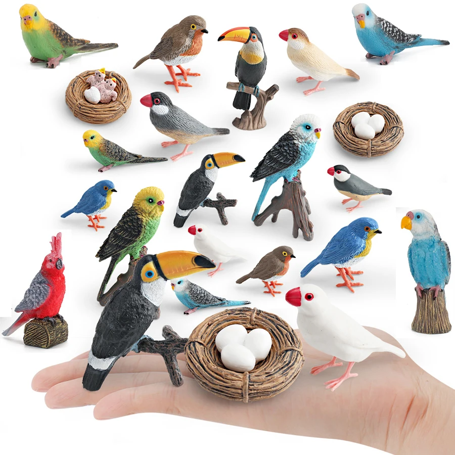 واقعية جافا سبارو روبن الببغاء الطوقان الطيور دورة نمو الحياة نموذج الشكل التعليمية ألعاب حيوانات الحلي لحديقة الجنية #1