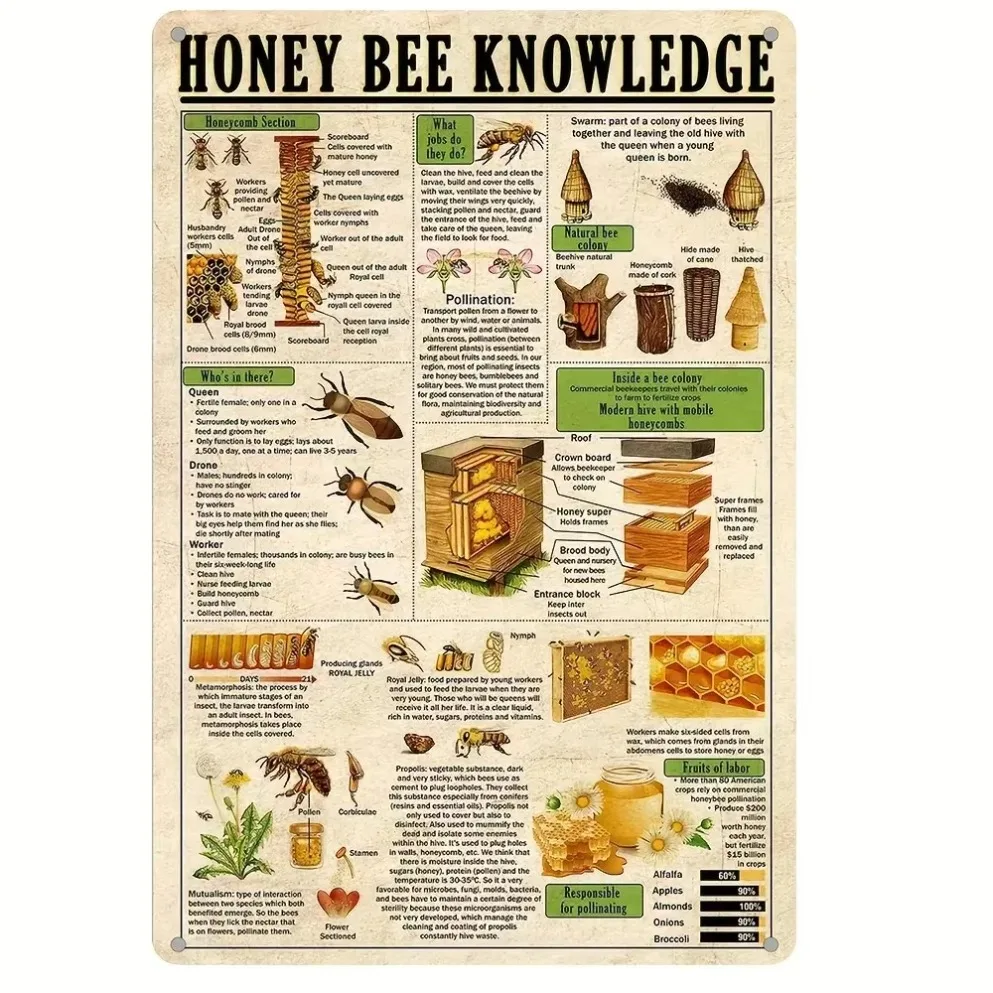 "Sign de conocimiento de abejas de BEEKNOWWITEDGE" | Decoración para hogares, restaurantes y amantes ecológicos | Ideal con regalo