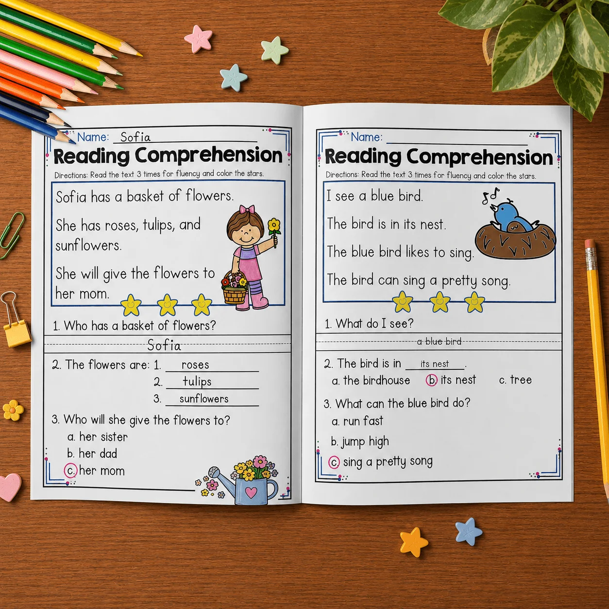 Spring Reading Comprehension Workbook, Short Passages, Fluency, Picture Matching, Sequencing and Written Answer Practice