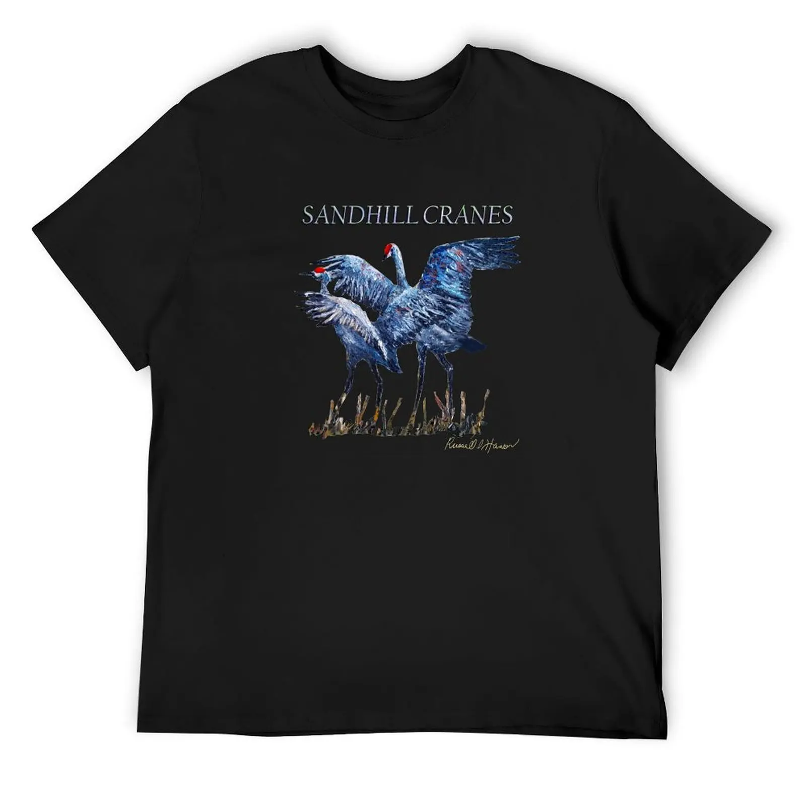 Sandhill Cranes, T-Shirt anime tshirt quick-drying graphic t shirts boys animal print plain white t shirts men