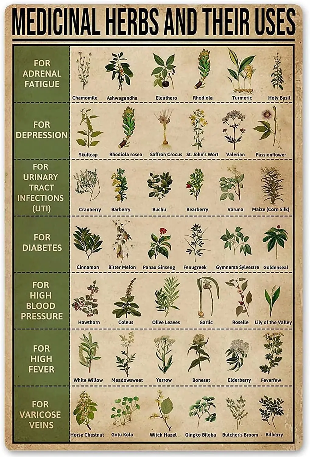 Youpinnong Decor Gift Posters Medicinal Herbs and Their Uses Metal Signs Room Home Bedroom Club Office Wall Art Decor Plaque Vin