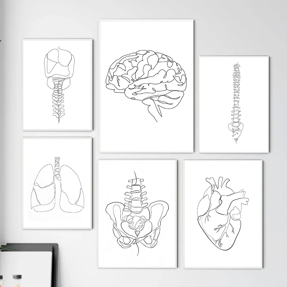 1pc Frameless Scandinavian Classic Minimalist Wall Art Abstract Teeth Brain Human Anatomy HD Poster Print Home Bedroom Living Ro