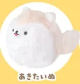 Akita Inu