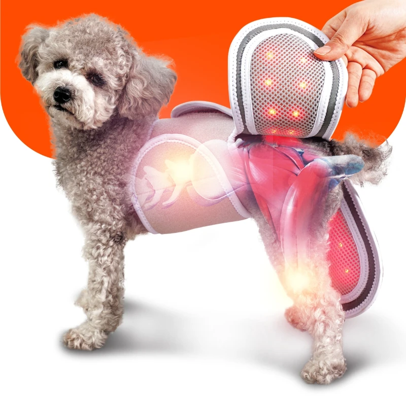 Pet physiotherapy device, joint and patellar health care, phototherapy pad