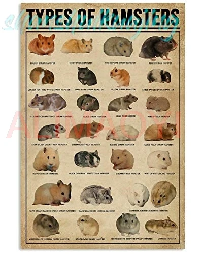Types of Hamster Poster for Bedroom Livingroom Gift for Family and Friend Wall Art Decoration Metal Plaque Poster Metal Sig sign