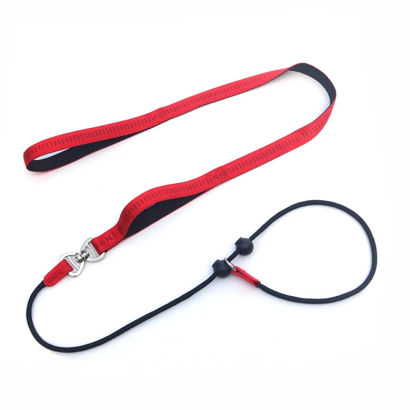 Training Dog Choking Rope Leash 2 in 1 Lead Collar 150cm P-Shaped Chain Slip Lead Control Leash for Small Large Competition Dogs